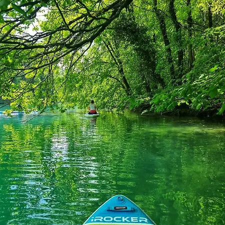 Lastovka * Tolmin