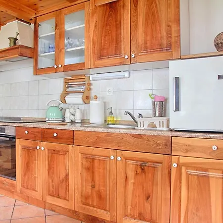 Lastovka Holiday home Tolmin